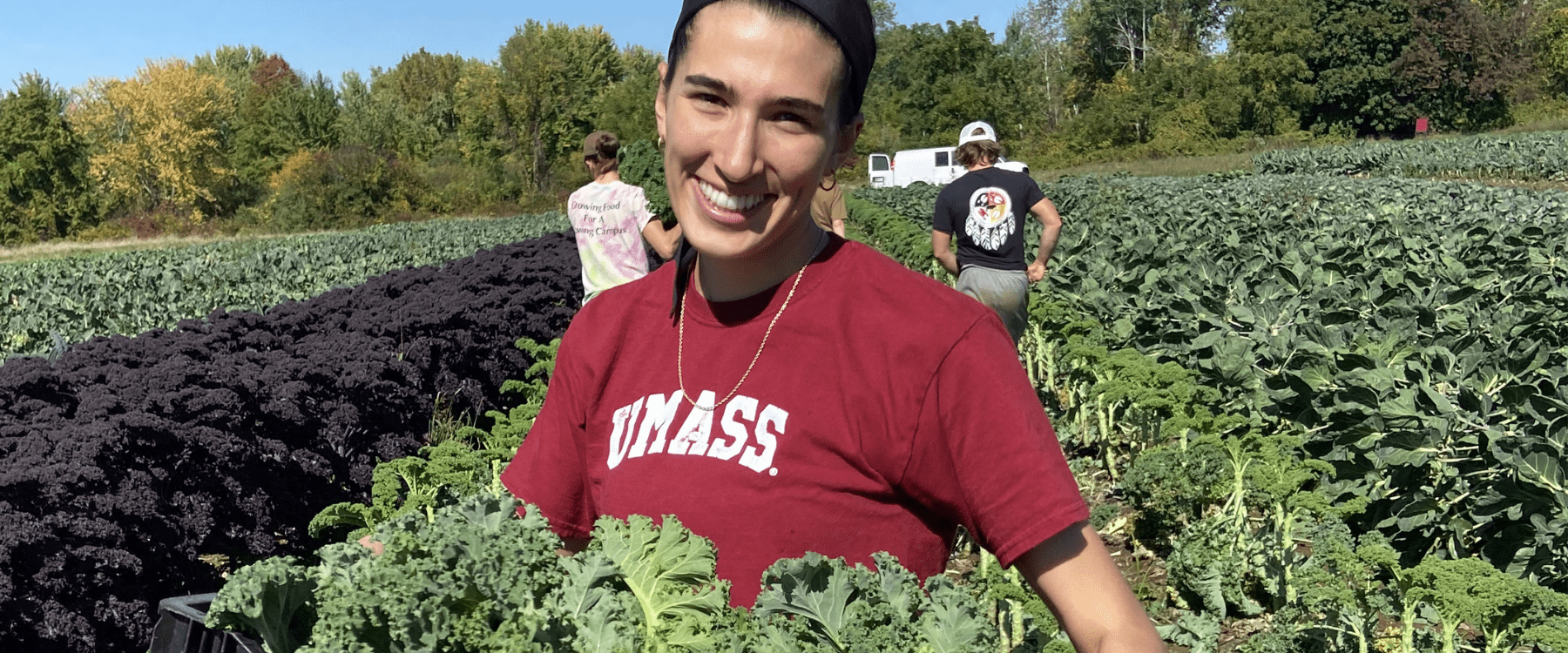 Campus farmer wearing a red UMass T-shirt holds a bin of freshly picked kale, standing in a field of kale plants